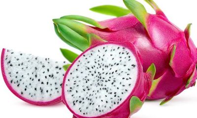 Dragon fruit